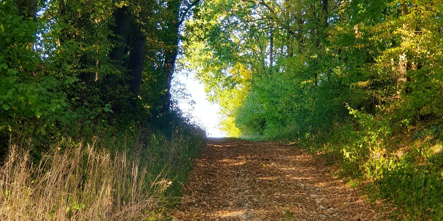 Impulsweg im Herbst