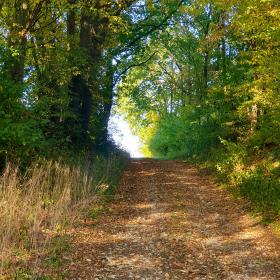 Impulsweg im Herbst