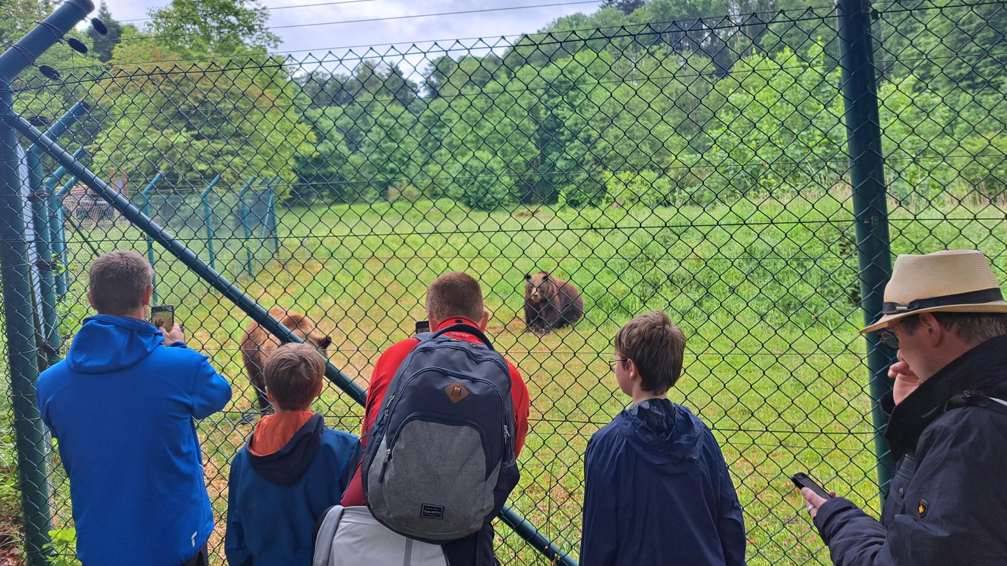 Spannende Informationen gab es bei der Bärenfütterung im Tiergarten.