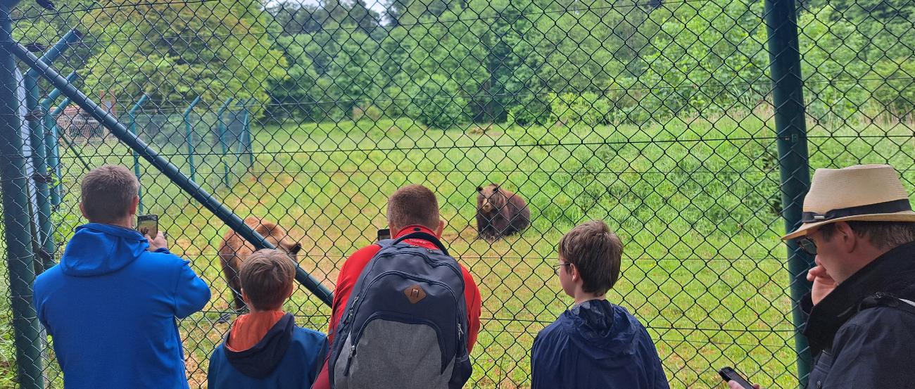 Bärenfütterung (c) Pastoraler Raum Sankt Goar Spannende Informationen gab es bei der Bärenfütterung im Tiergarten.