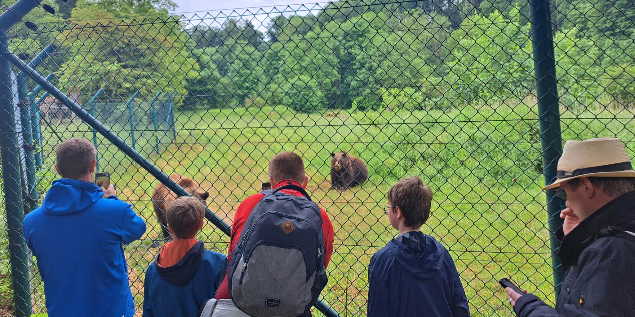 Spannende Informationen gab es bei der Bärenfütterung im Tiergarten. (c) Pastoraler Raum Sankt Goar Spannende Informationen gab es bei der Bärenfütterung im Tiergarten.