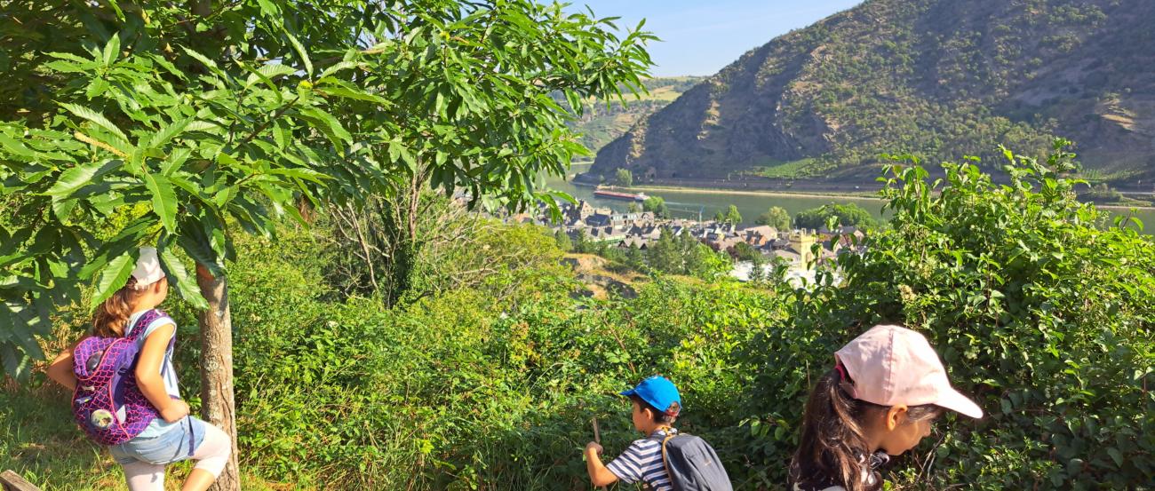 Wanderung nach Engehöll