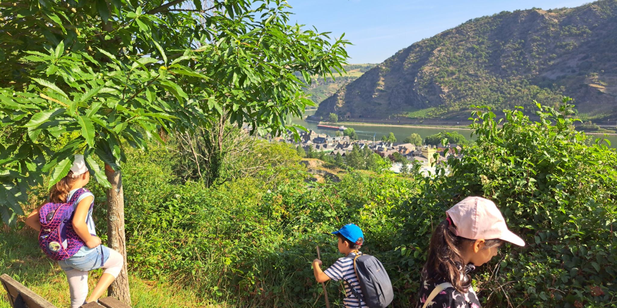 Wanderung nach Engehöll (c) cl Wanderung nach Engehöll