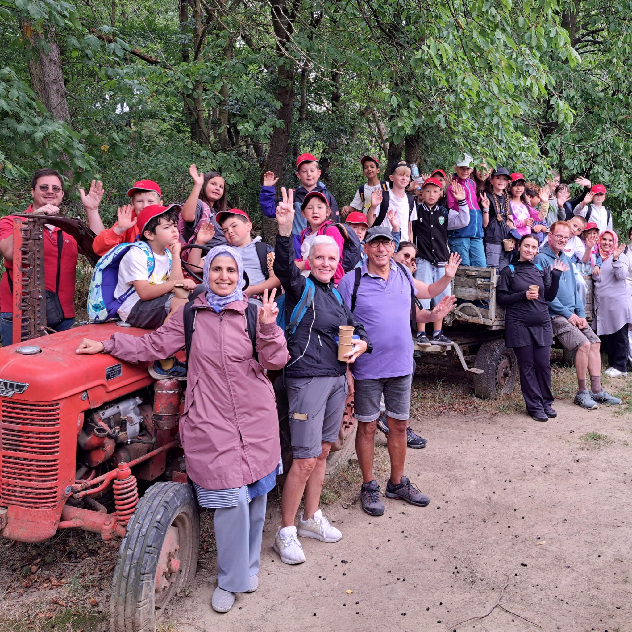 Gruppe Tierpark