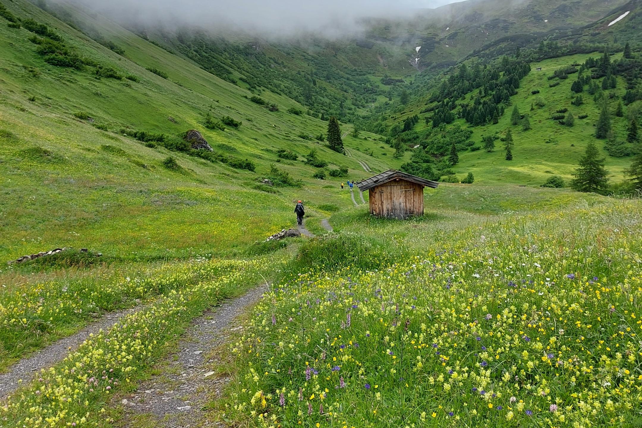 Wanderweg