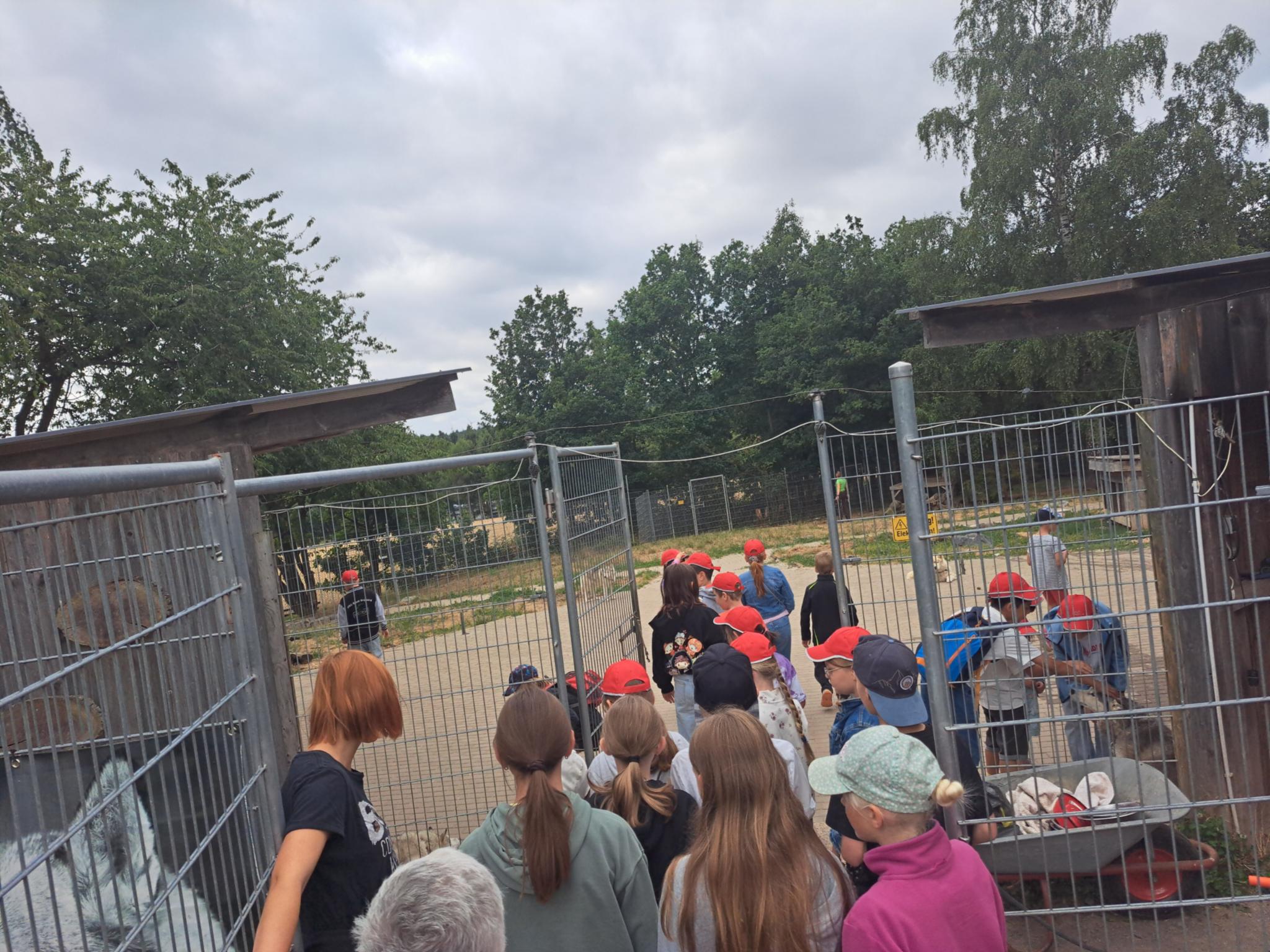 Tierpark (c) Pastoraler Raum Sankt Goar Tierpark