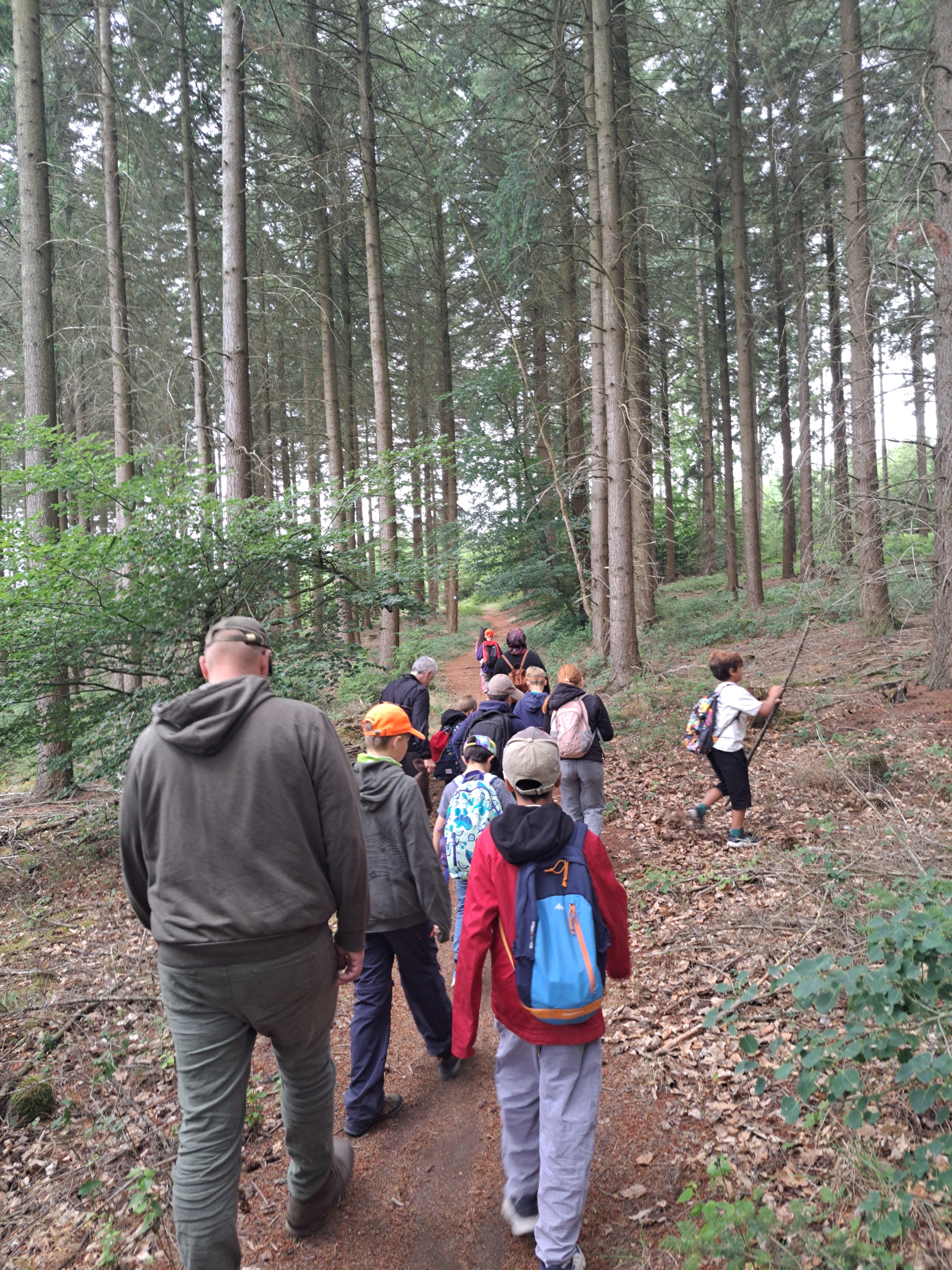 Wald 3 (c) Pastoraler Raum Sankt Goar Wald 3