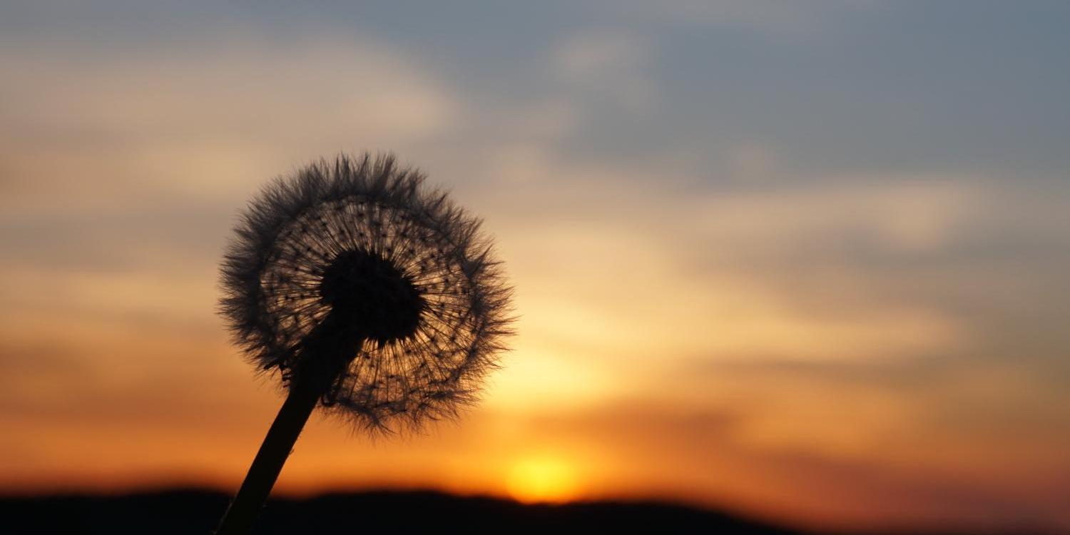 Abschied und Neubeginn