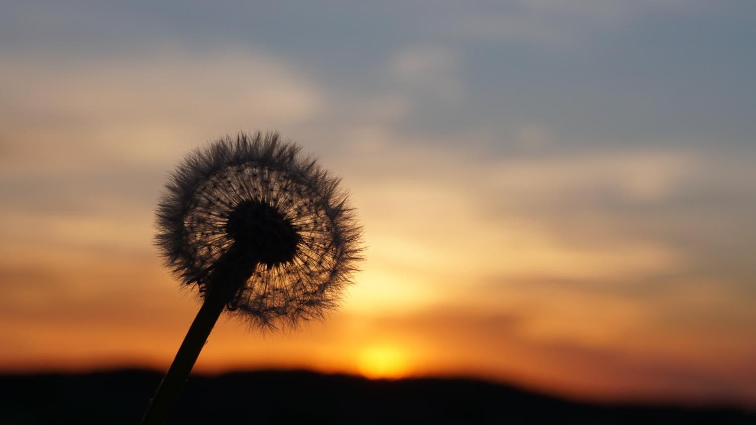 Abschied und Neubeginn