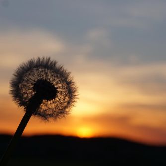 Abschied und Neubeginn