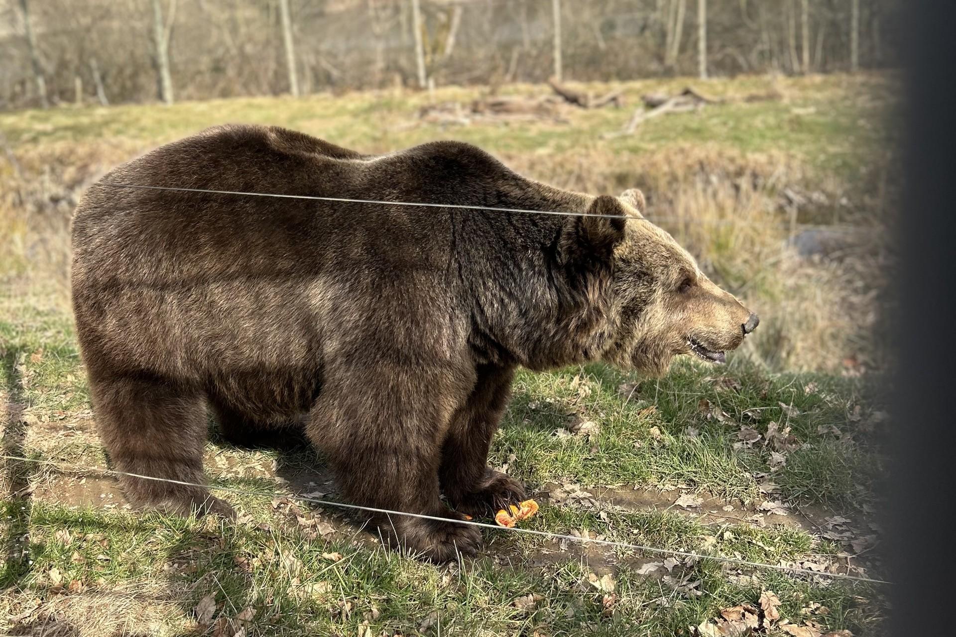 Tierpark Rheinböllen
