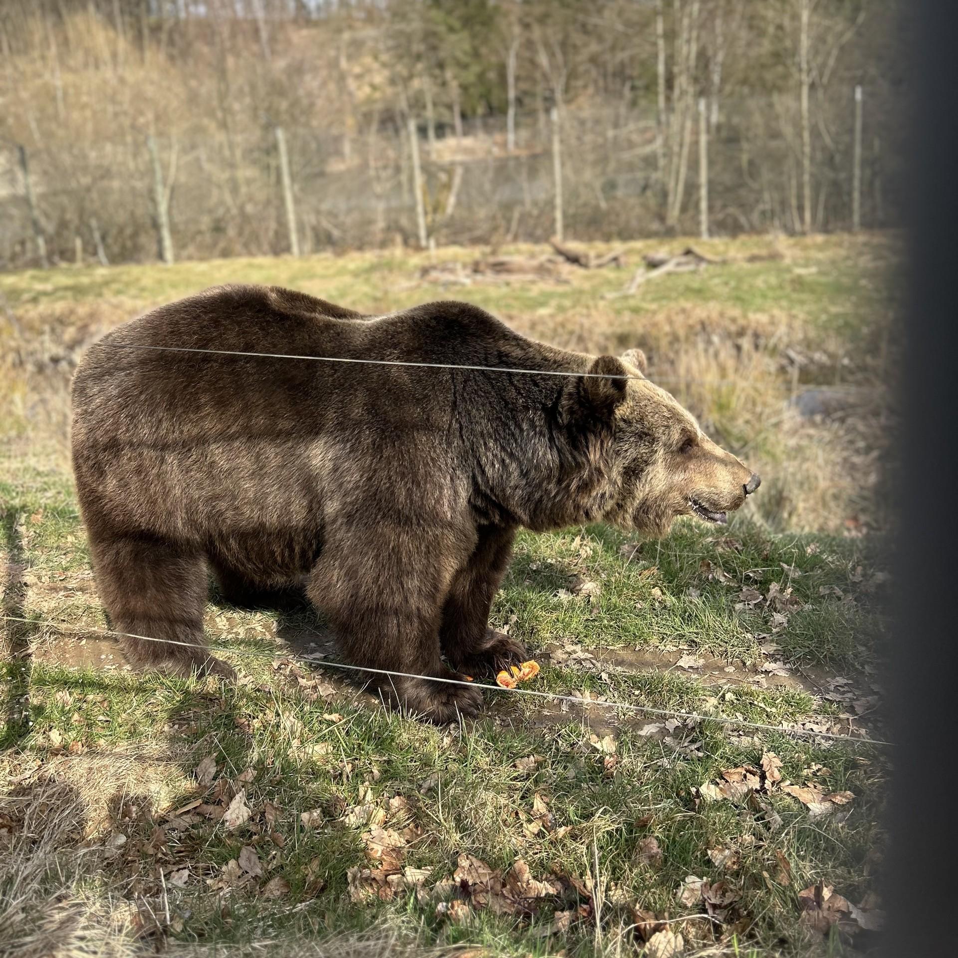 Tierpark
