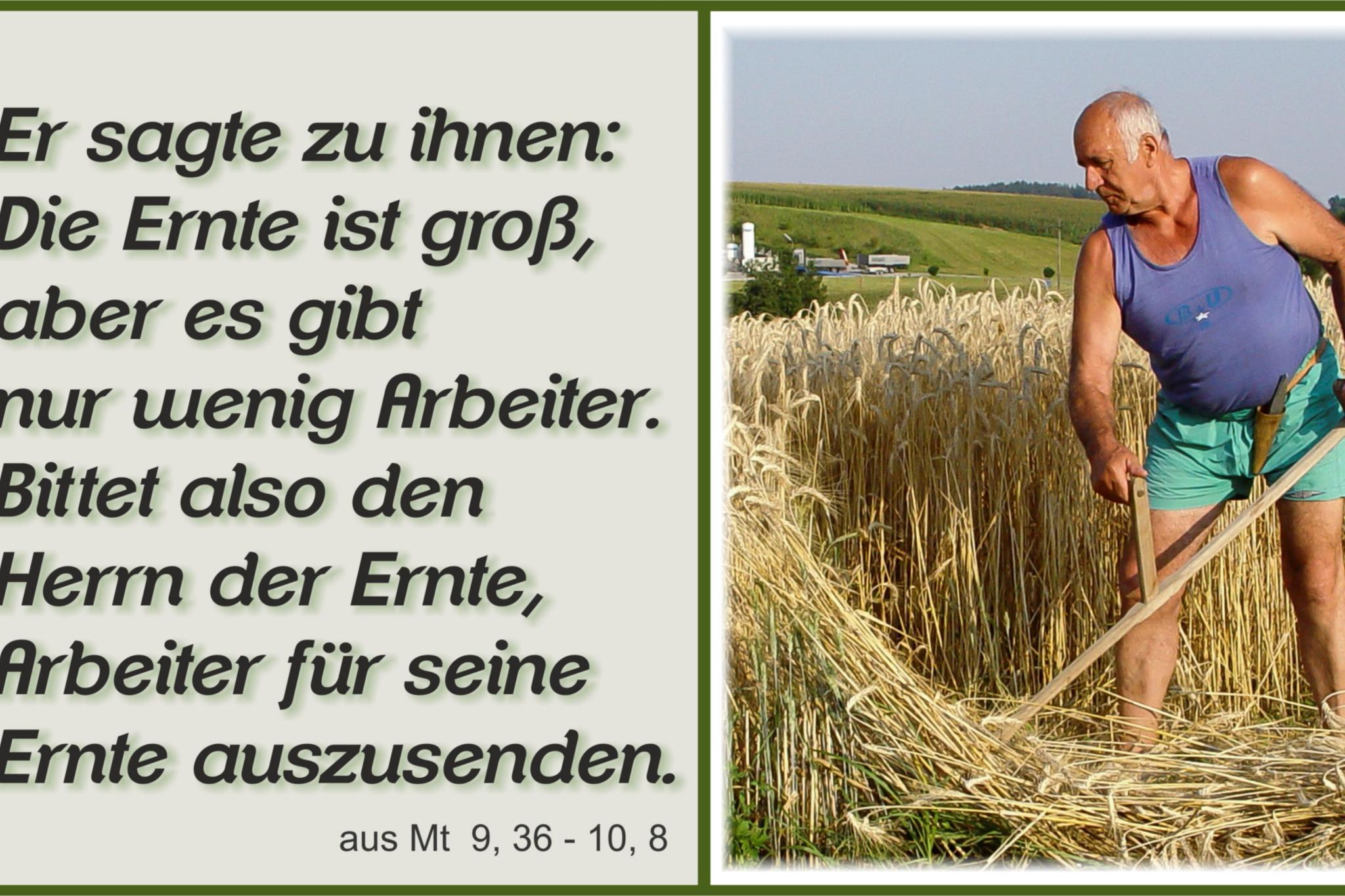 2020-06-14-11_so-jahreskreis-mt_936_-_108-01_by_martin_manigatterer_pfarrbriefservice